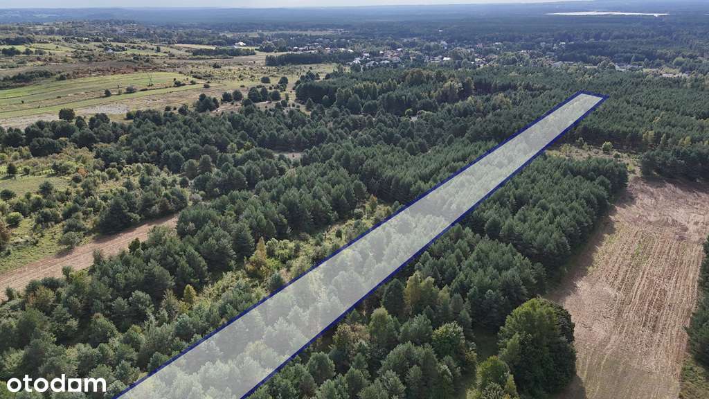 Choroń, ul. Poległych | Działka na sprzedaż - Pełny obrazek: 4/7