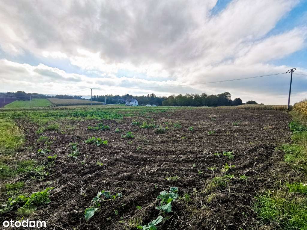 Działka w sąsiedztwie zabudowy - cicha okolica - Pełny obrazek: 5/8