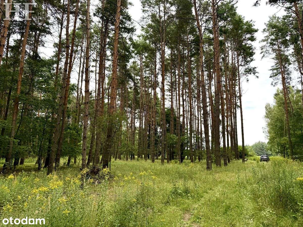 3 działki budowlane-  Warszawska,  las-5