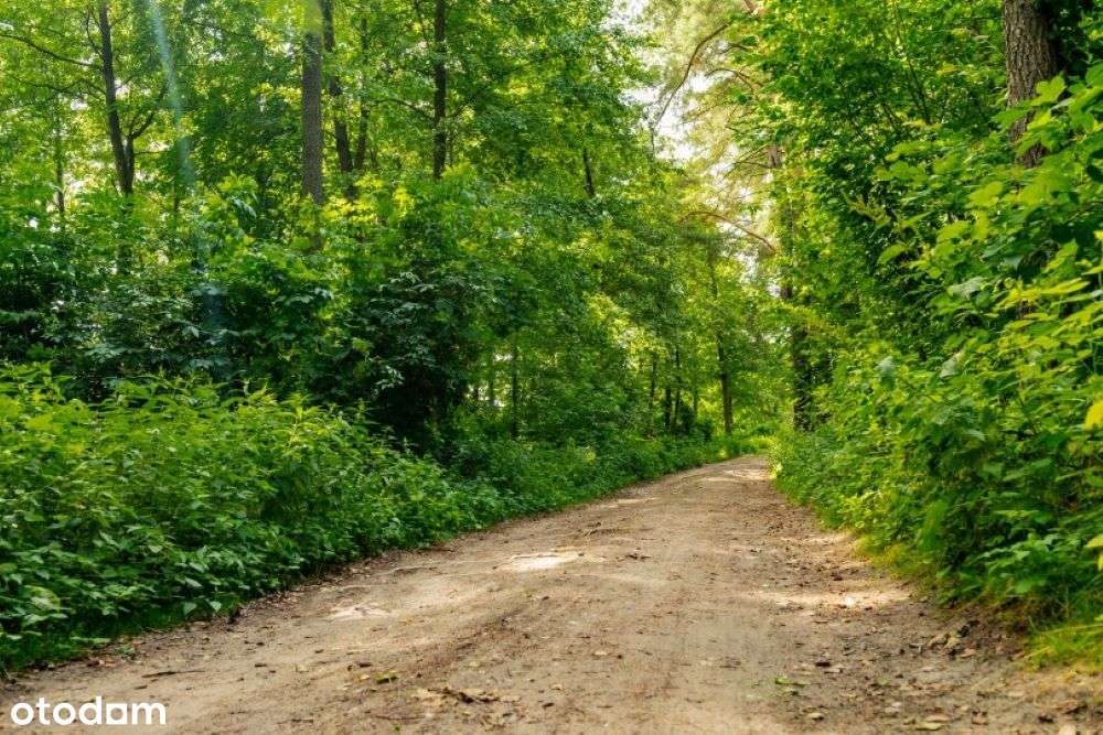 Działka Budowlana – Jezioro, LAS, WARMIA, GETRZWAŁD - Pełny obrazek: 4/7