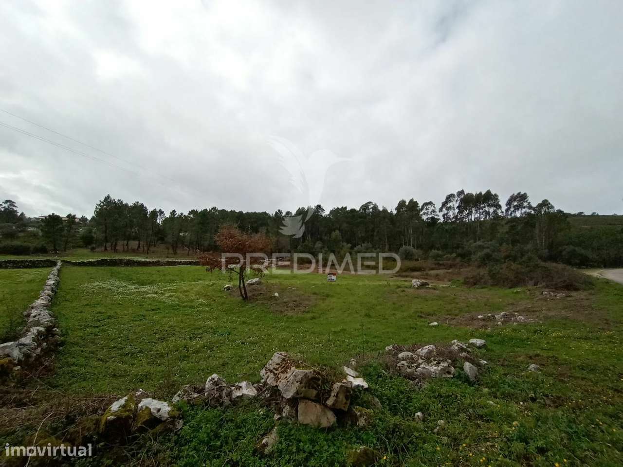 Terreno Agrícola Giesteira - Fátima - Grande imagem: 2/4