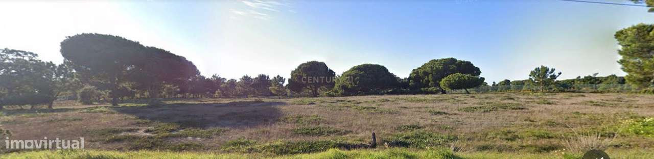 Terreno de 5000 m2 com capacidade de construção - Grande imagem: 3/6