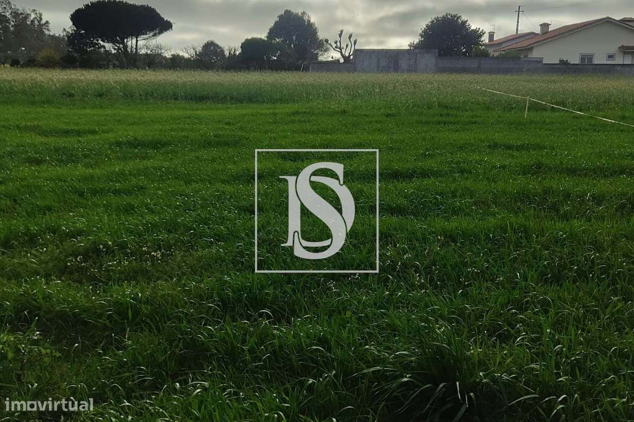 Terreno 1050 m² | Mindelo – Vila do Conde - Grande imagem: 4/6