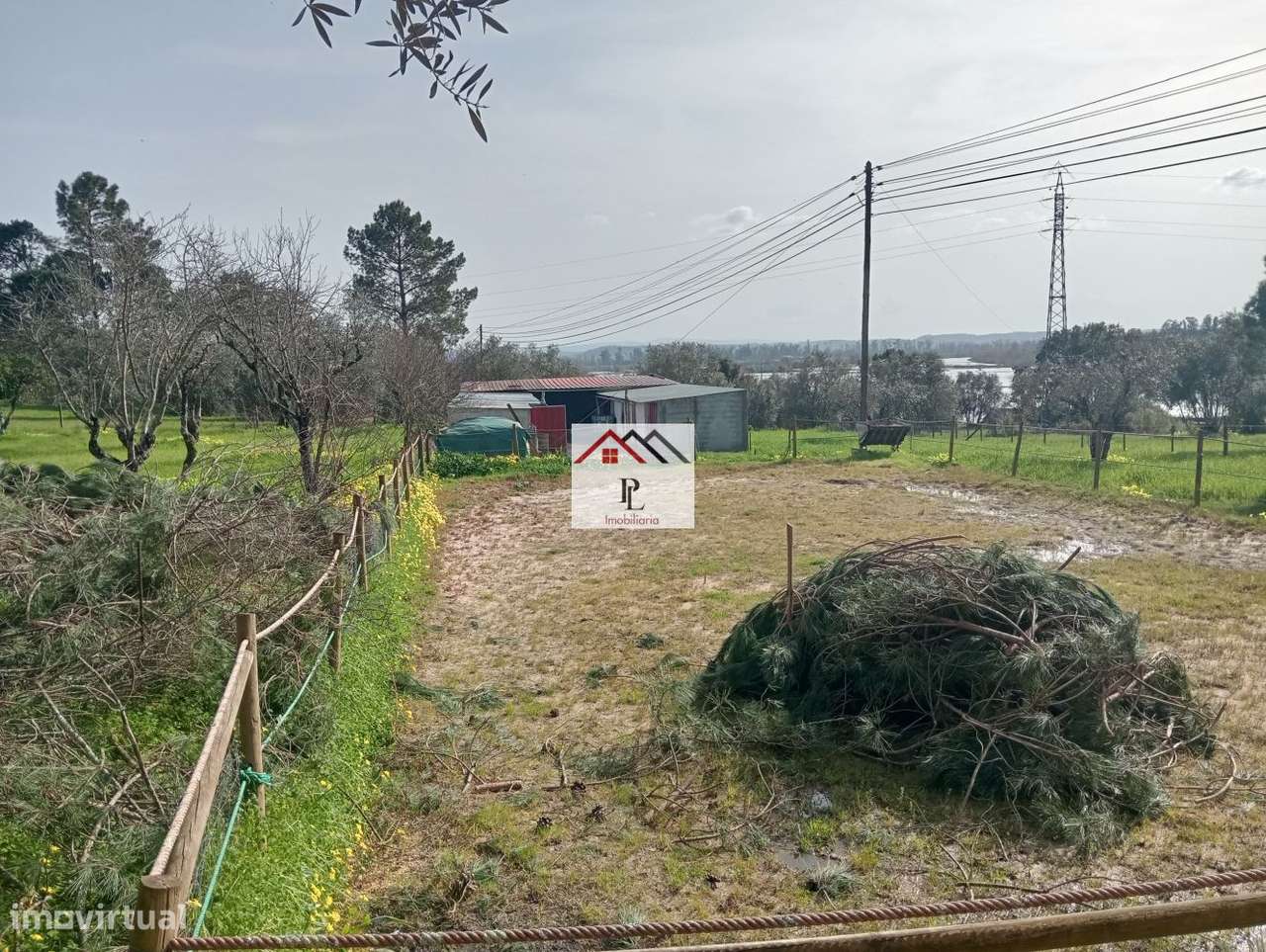 Terreno rustico em Granja de Ançã-7