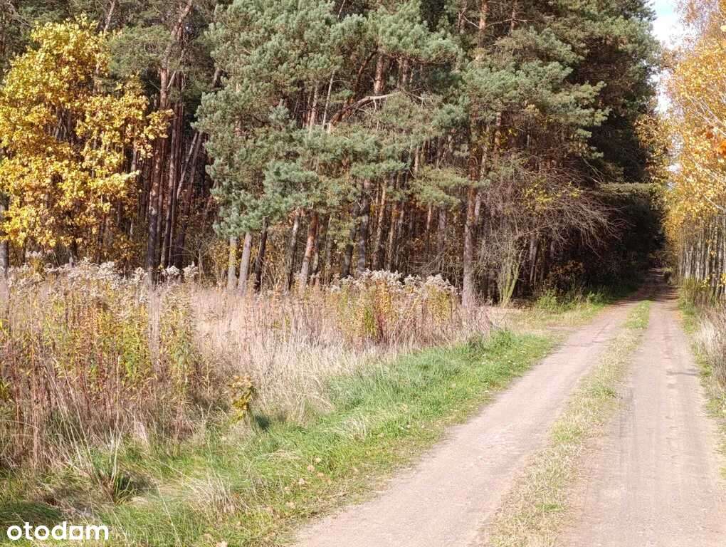 Działka budowlana w Dąbrówce Wyłazy, przy lesie - Pełny obrazek: 4/16