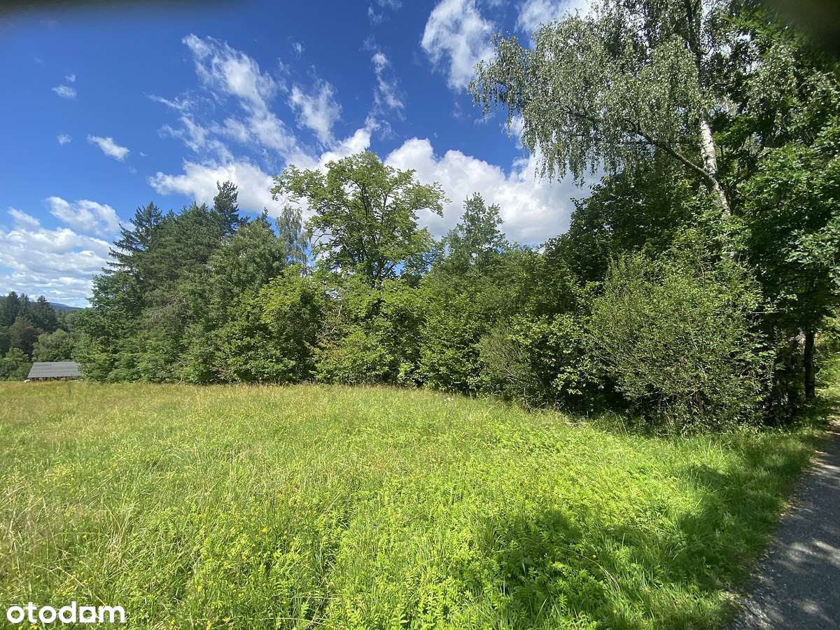 Istebna - działka budowlana 13 ar przy przejściu granicznym Jasnowice - Pełny obrazek: 5/18