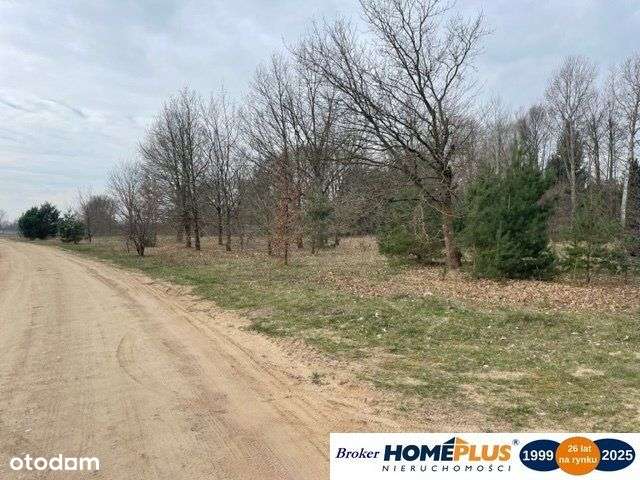 Działka blisko Bugu, 40 minut od Warszawy - Pełny obrazek: 4/9