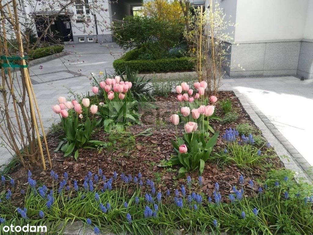 W kamienicy przy Poznańskiej !-10