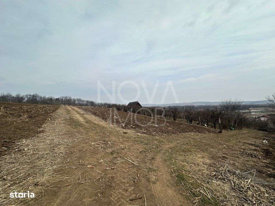 Teren de vanzare in Ocna Sibiului – Locatie premium langa lacurile s - Imagine principală: 3/4