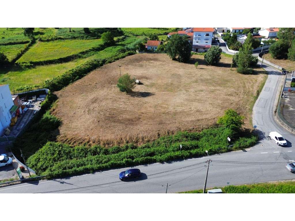 Terreno de 7.885 m² - Arcozelo- Ponte de Lima - Grande imagem: 4/6