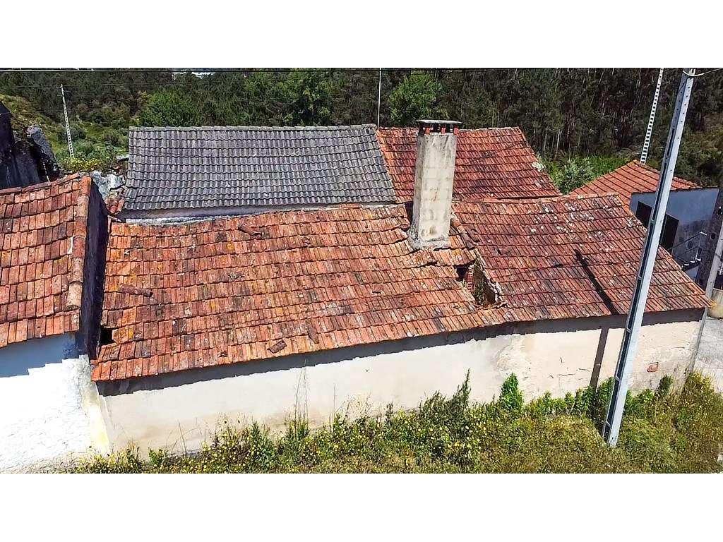 Oportunidade Única em Gondemaria: 2 Habitações Independentes com Po...-9