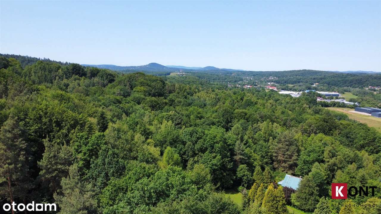 Krzywaczka/ 23 ary/ budowlana/ tuż przy lesie-7