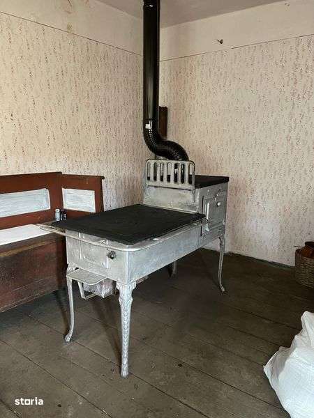 Vind casa la munte Zona Baisoara Muntele Bocului - Imagine principală: 4/6