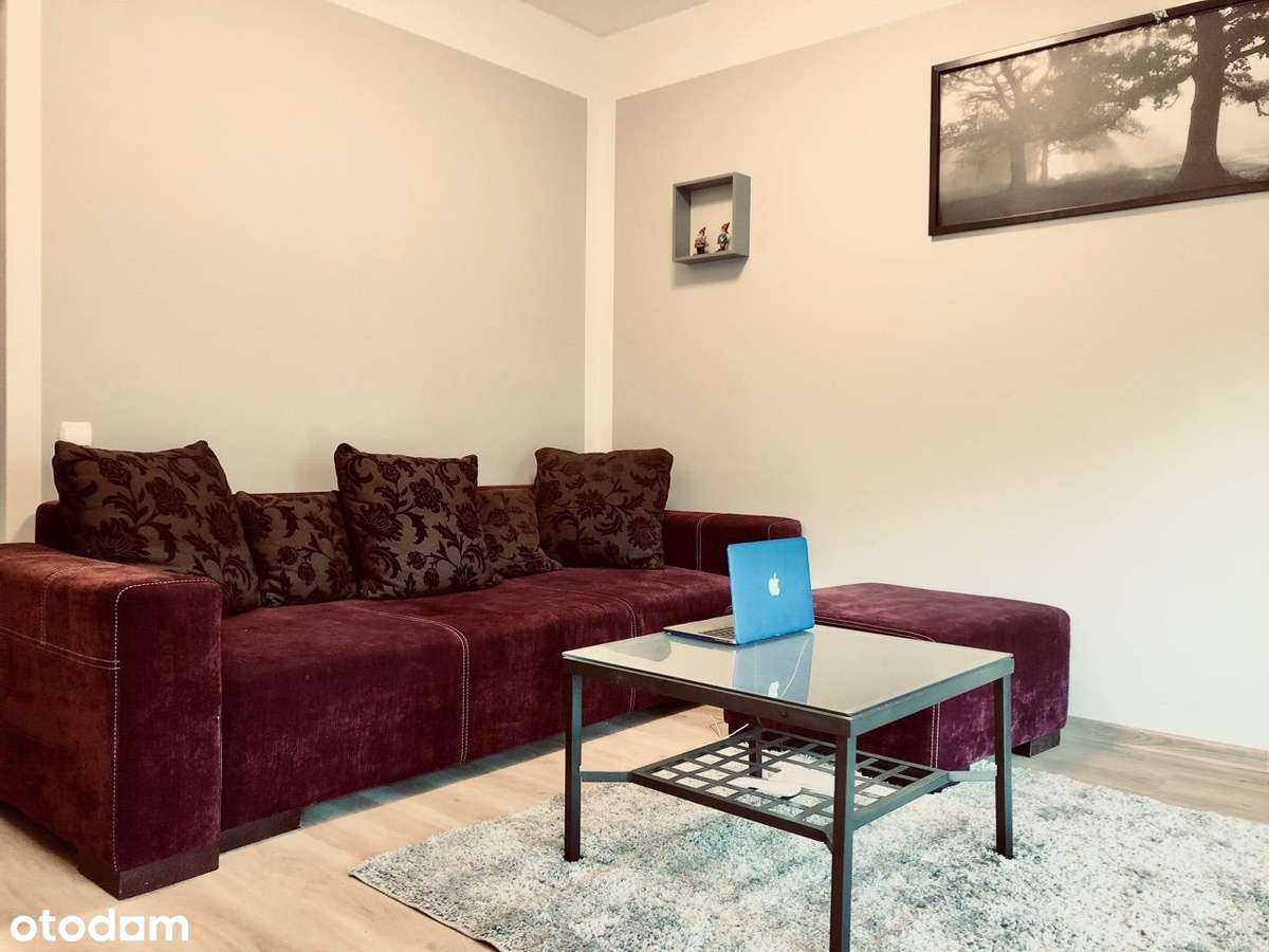 Wynajem 46,3m2, 2 pokoje, Osiedle Pomarańczowe - Pełny obrazek: 5/19