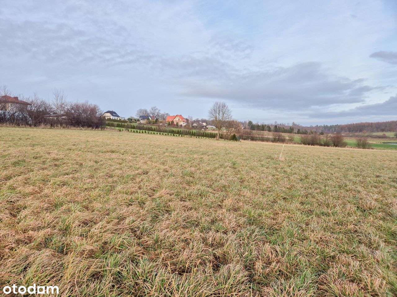 Działka, 1 336 m², Rybno-13