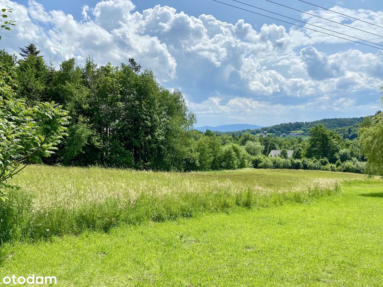 Zbuduj swój dom z widokiem na góry – 40 arów ciszy i spokoju w Młynnem - Pełny obrazek: 5/5