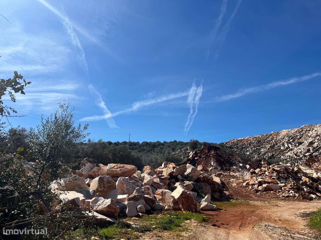 PEDREIRA | OLIVAL | VENDA | BORBA-17