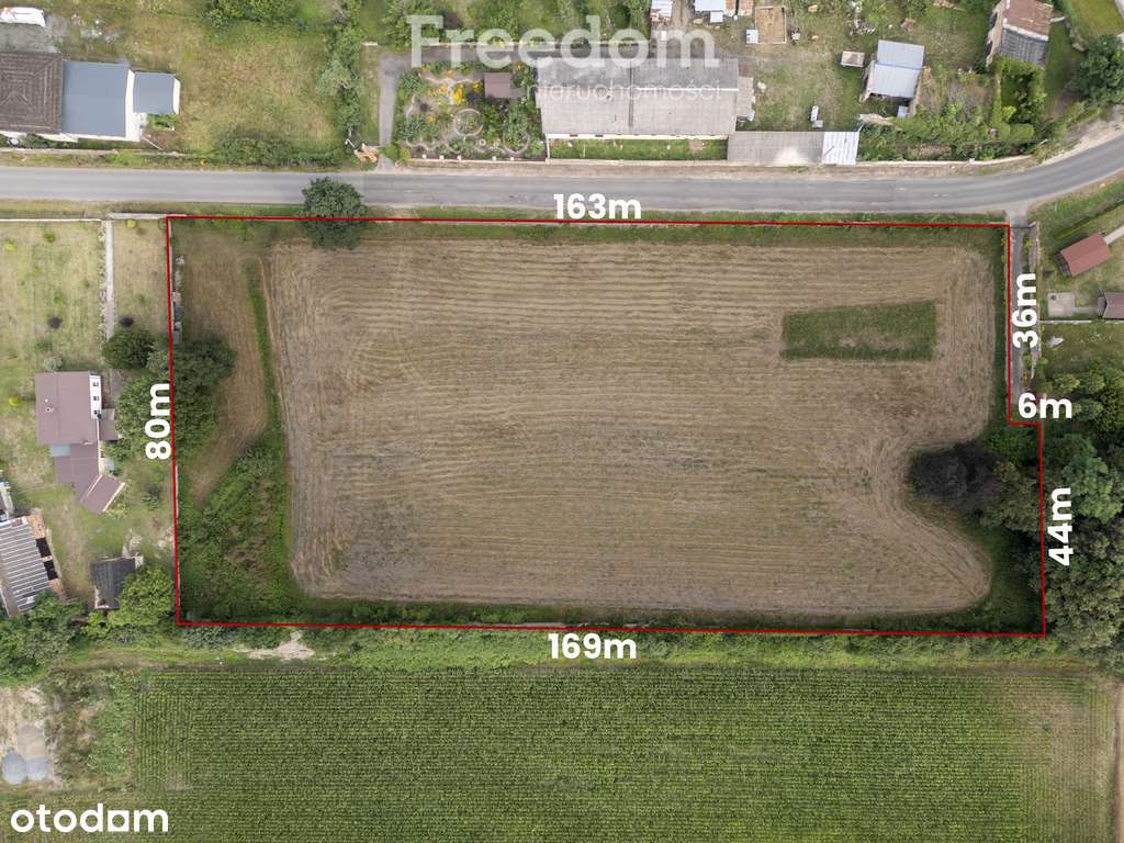 Sprzedam działkę 1,34ha z warunkami zab.na 6 domów - Pełny obrazek: 5/8