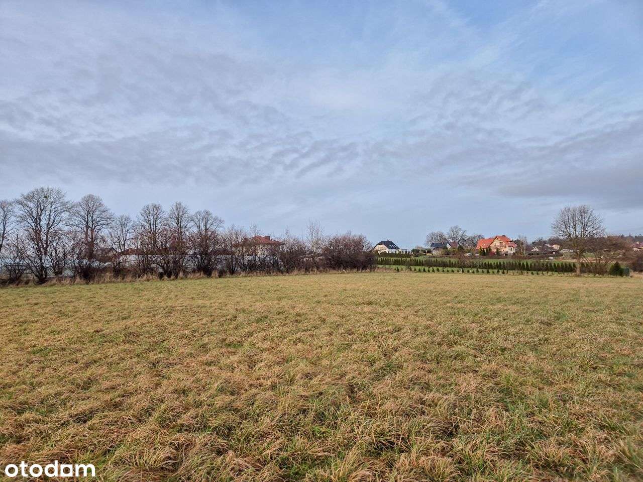 Działka, 1 336 m², Rybno-10