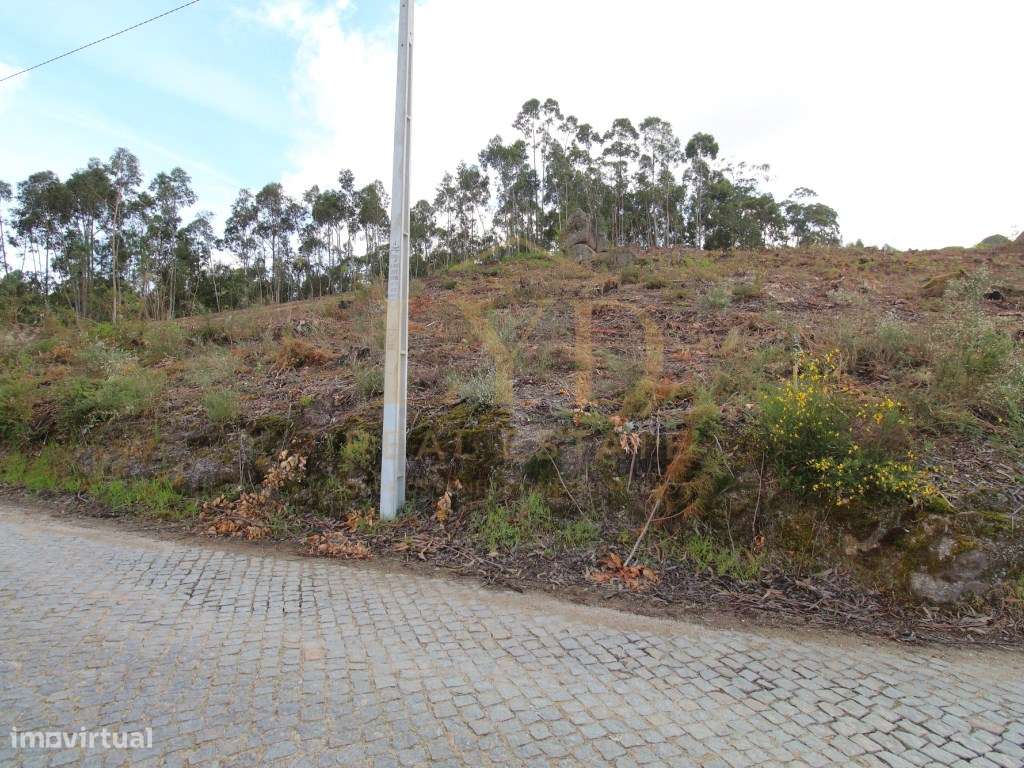 Terreno Construção-5