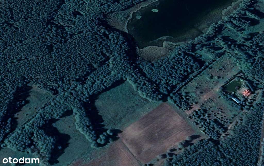 Rajska działka w lesie nad jeziorem - Pełny obrazek: 5/12