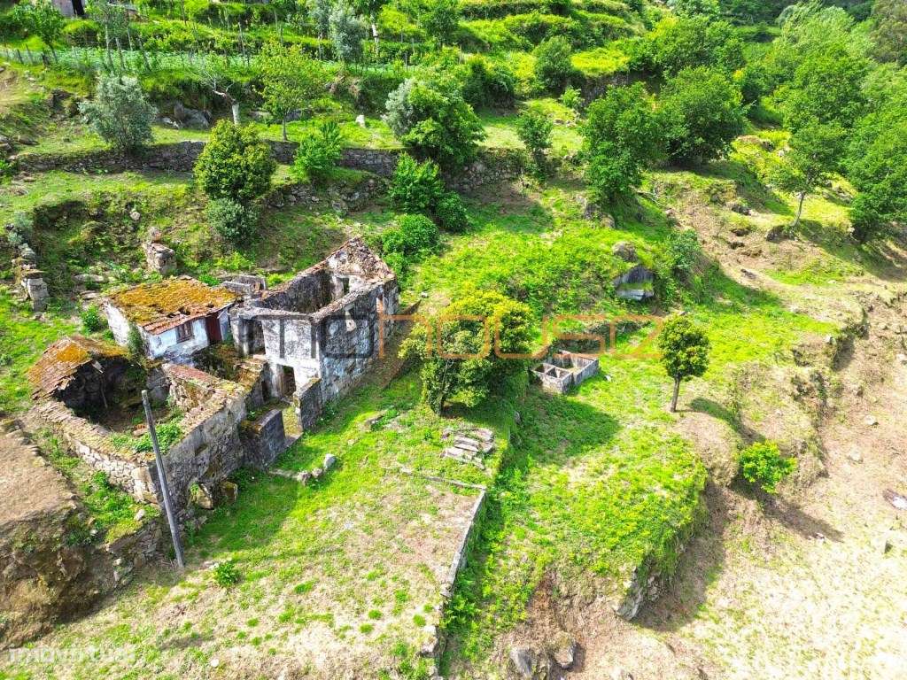 Quintinha com vista fabulosa para o Douro - Grande imagem: 4/42