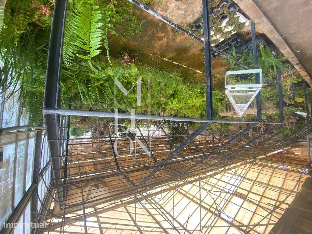 Terreno Lameiras - Grande imagem: 3/51