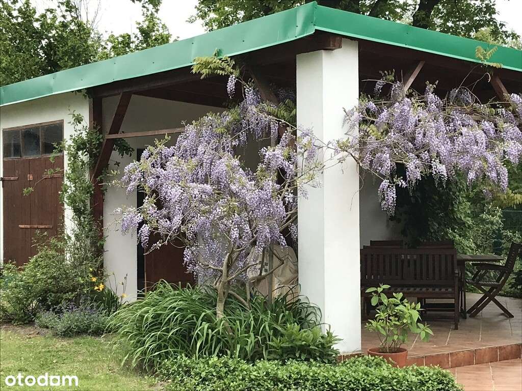 Duża zabudowana działka w Nosach-Poniatkach-15