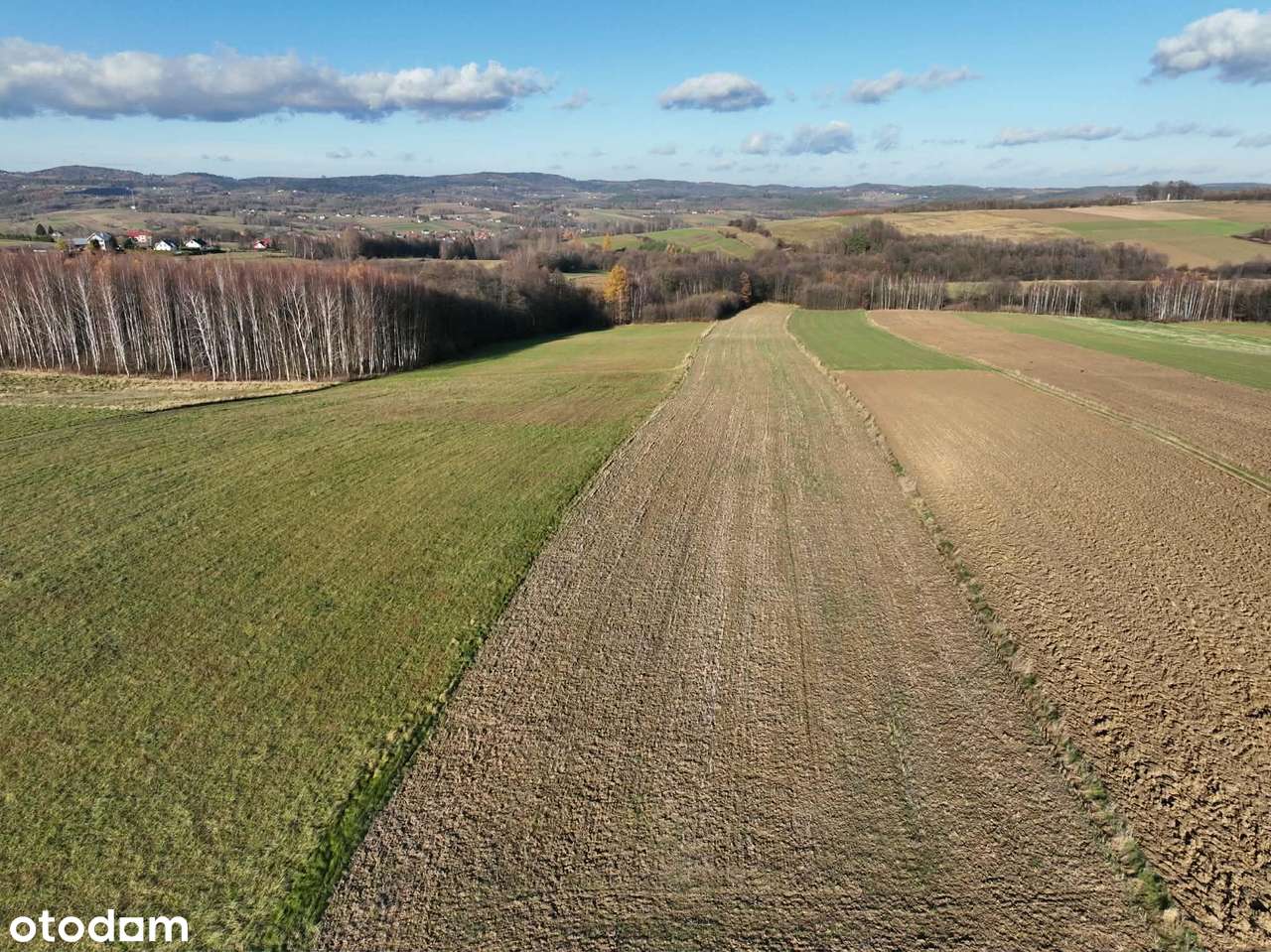 Ponad 1,5 ha działka w Ołpinach gm. Szerzyny-10