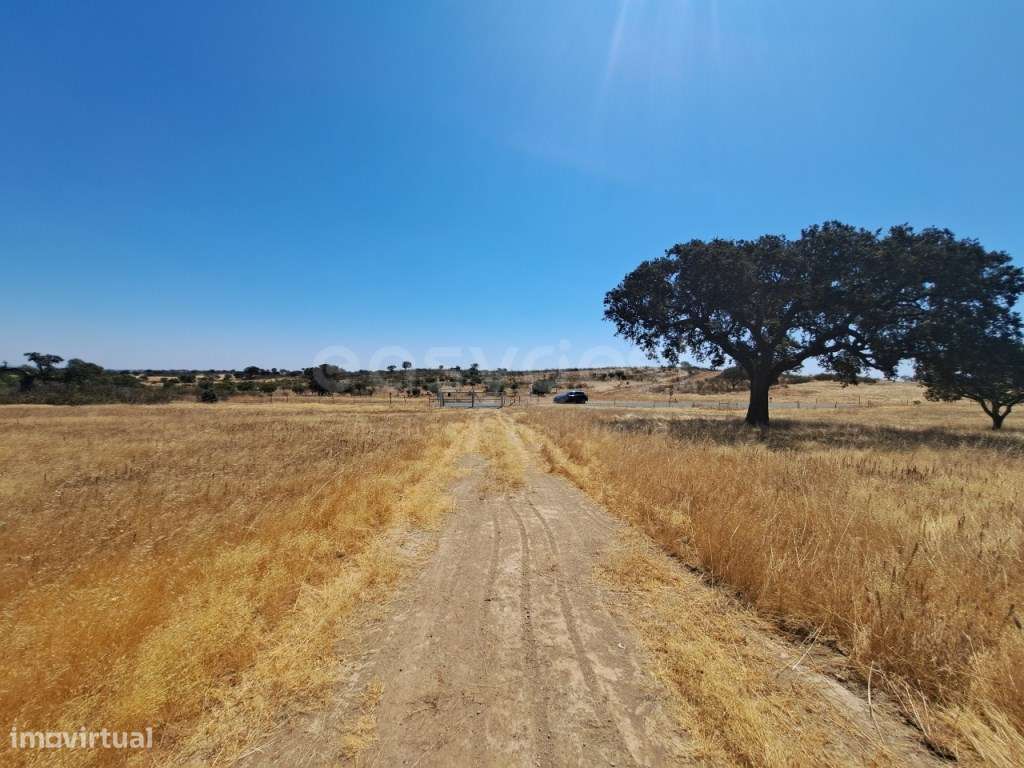 Terreno Rústico com 11 hectares no concelho de Almodôvar, totalment... - Grande imagem: 4/35
