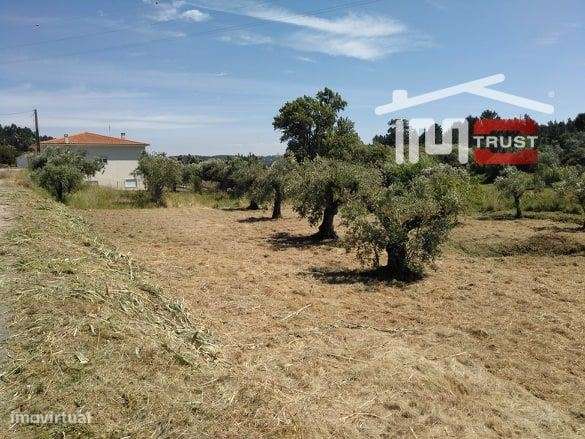 Terreno para construção - Grande imagem: 3/6