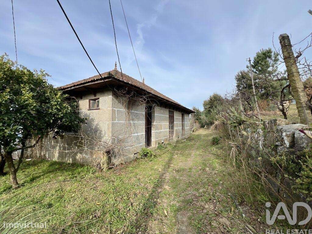 Quinta T5 em Oliveira do Douro de 292,00 m2 - Grande imagem: 4/30