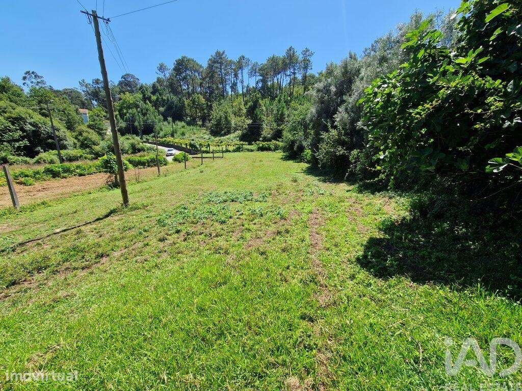 Terreno Agrícola em Torre E Vila Mou de 917,00 m2 - Grande imagem: 4/30