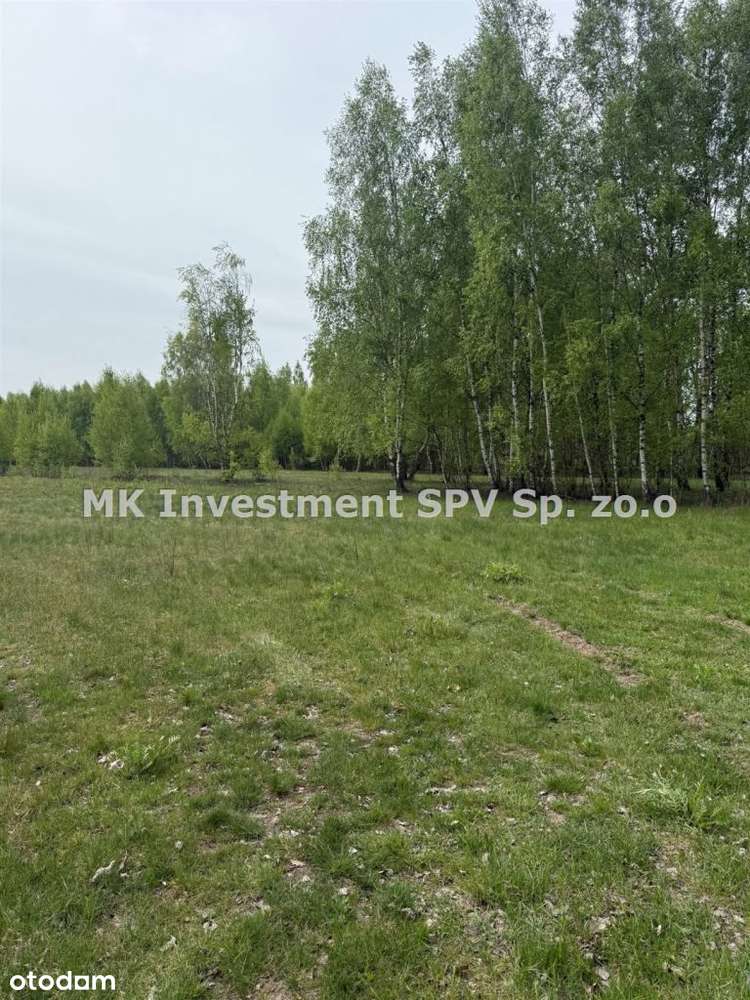 1,2 h Siedlisko Kampinos Małocice/Czosnów - Pełny obrazek: 3/6