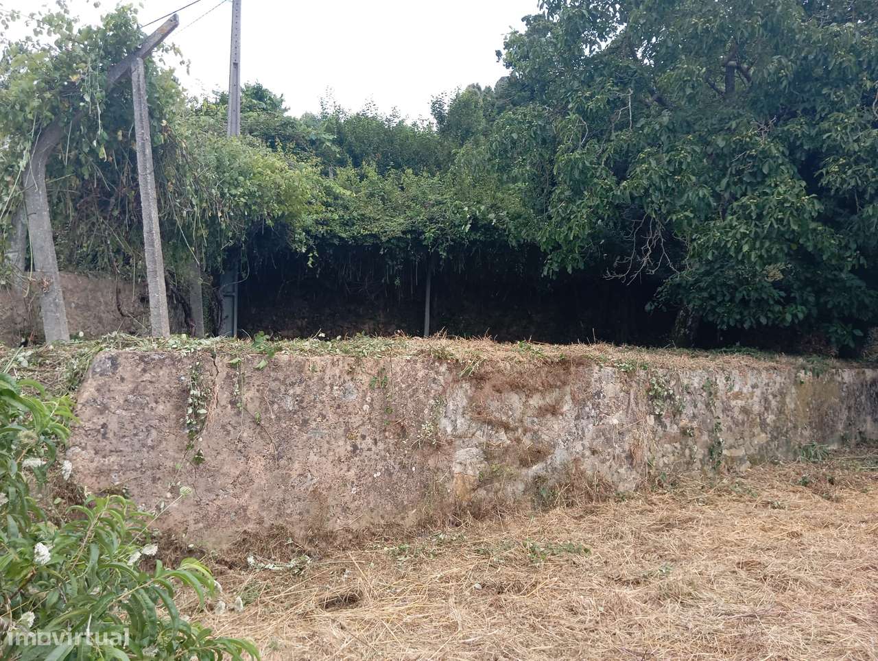 Lote Urbano para Construção em Macinhata da Seixa-7