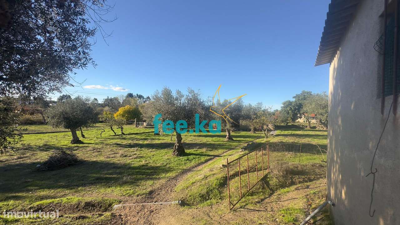 Quinta em Escalos de Baixo-24