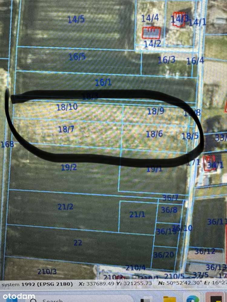 Duża Działka 7300 m2, podzielona na mniejsze - Pełny obrazek: 4/4