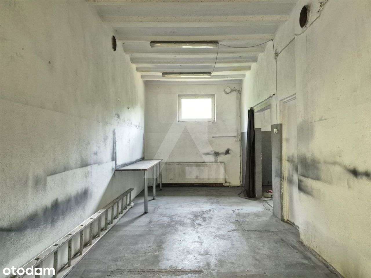 Hala/Magazyn, 300 m², Bydgoszcz - Pełny obrazek: 3/7