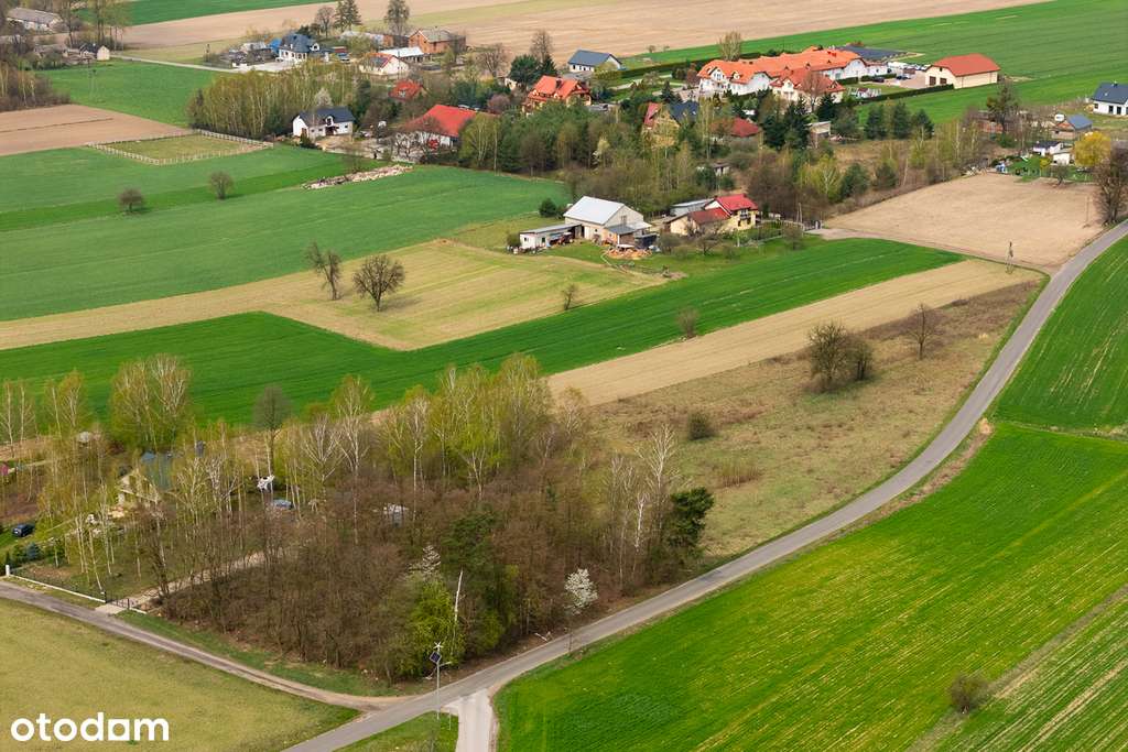 Działka na sprzedaż 3900 m2 - Syberia gm. Brzeziny - Pełny obrazek: 5/8