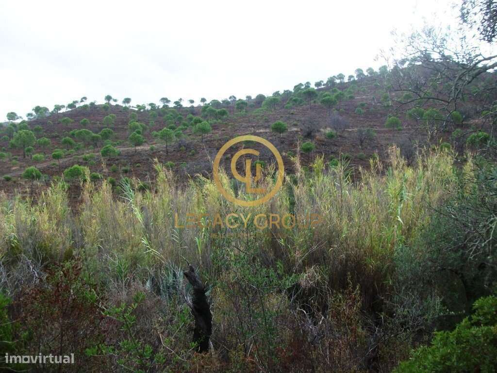 Terreno rústico no Barranco Maria Galega – Alcoutim-4