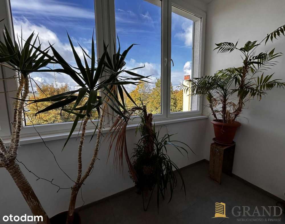 3 pokoje z balkonem w centrum-12