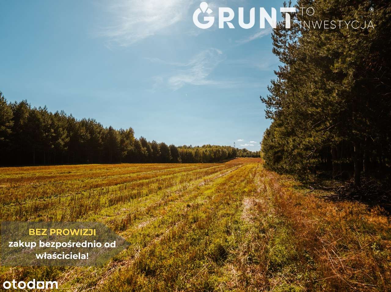 Działki budowlane w okolicy terenów rekreacji - Pełny obrazek: 4/12