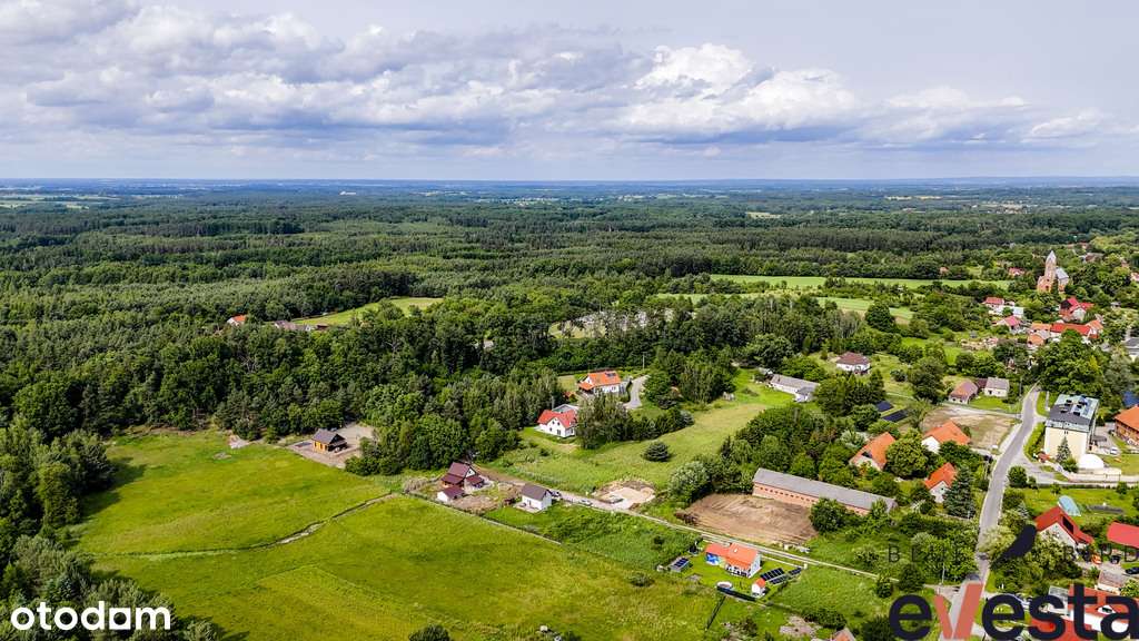 Działka Bagno 961 m2 | obok lasu | cisza i natura - Pełny obrazek: 5/8