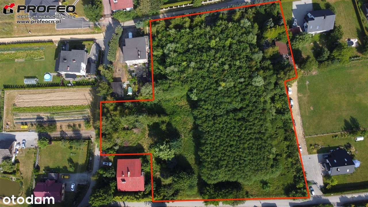 Duży teren pod zabudowę w super cenie! - Pełny obrazek: 4/9