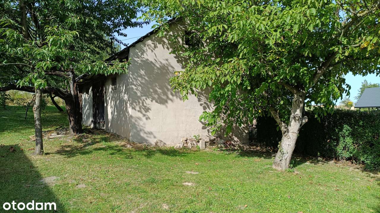 Dom z działką  82 ary Suchowola Kolonia k. Zamościa - Pełny obrazek: 5/8