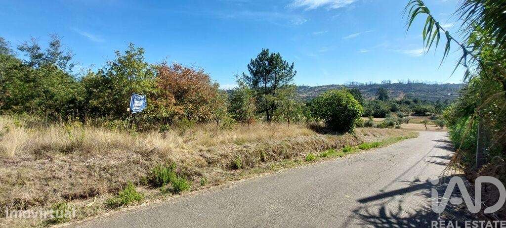 Terreno T3 em Colmeias e Memória de 145,00 m2 - Grande imagem: 4/12