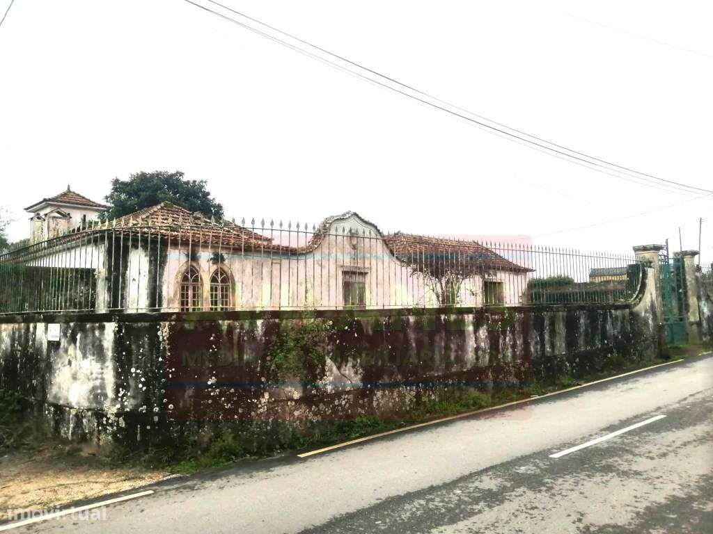 QUINTA - GIÃO-33