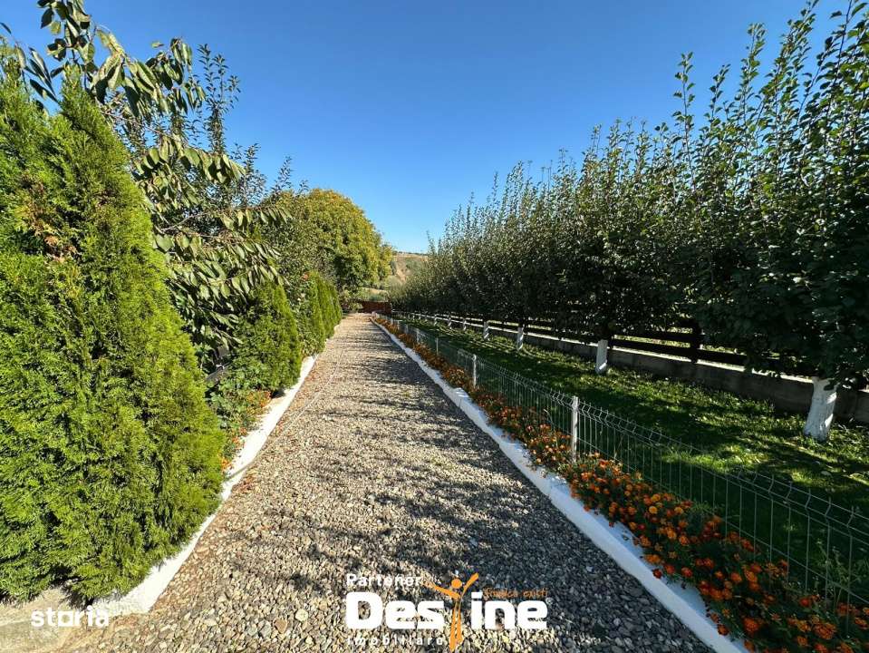 Bucovina Mica - Proprietate cu potential turistic in Tatarusi - Imagine principală: 1/12