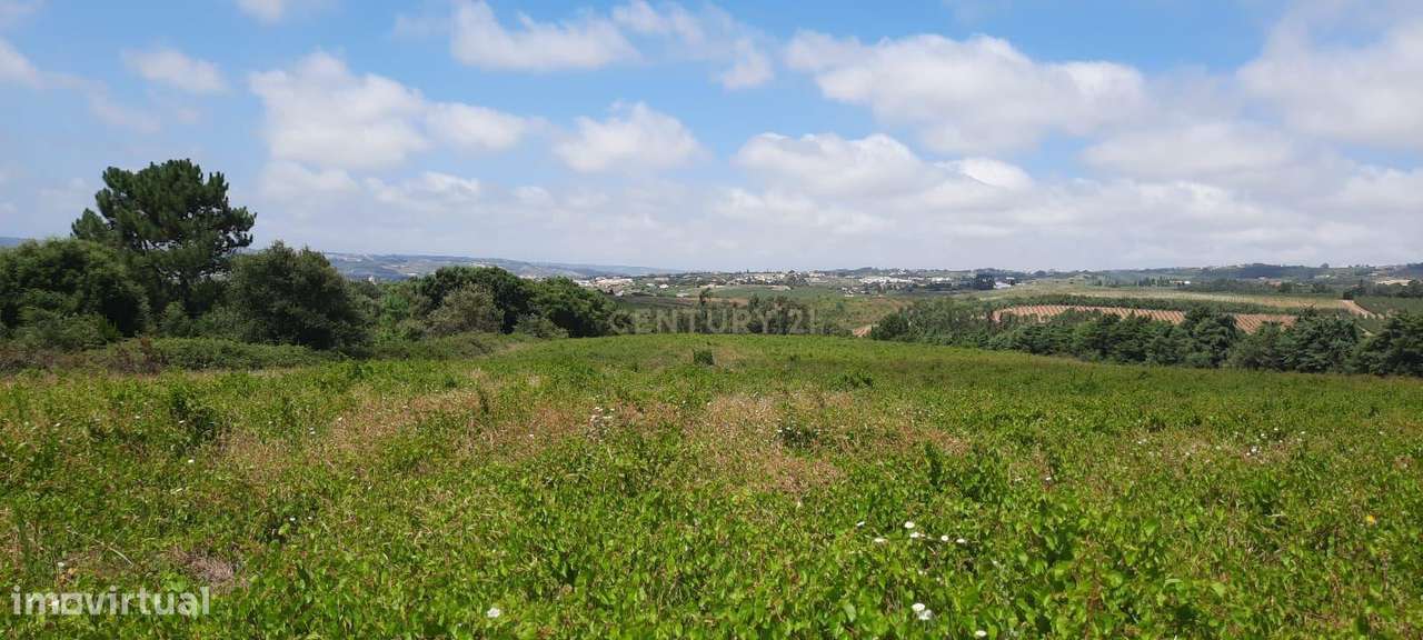 Oportunidade Única em Carvalhal, Bombarral: Terreno com possibilidade - Grande imagem: 2/5