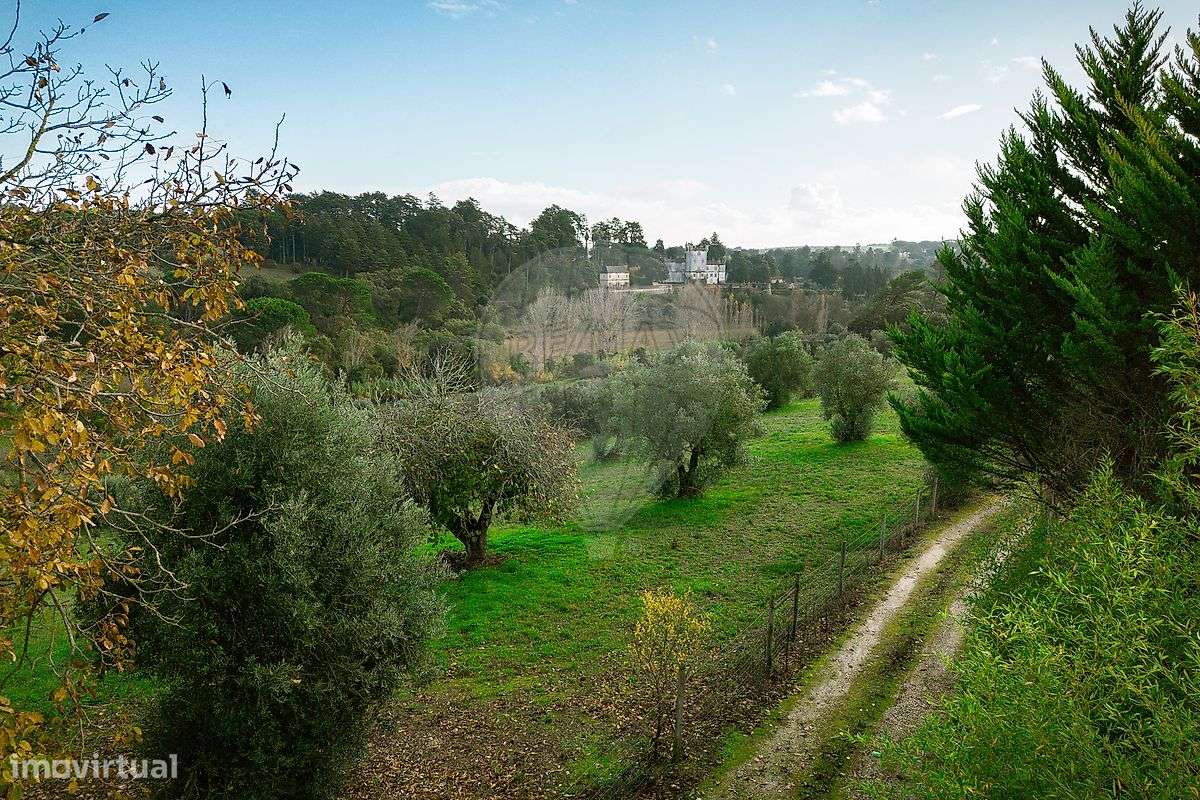 Quinta  para venda - Grande imagem: 5/18